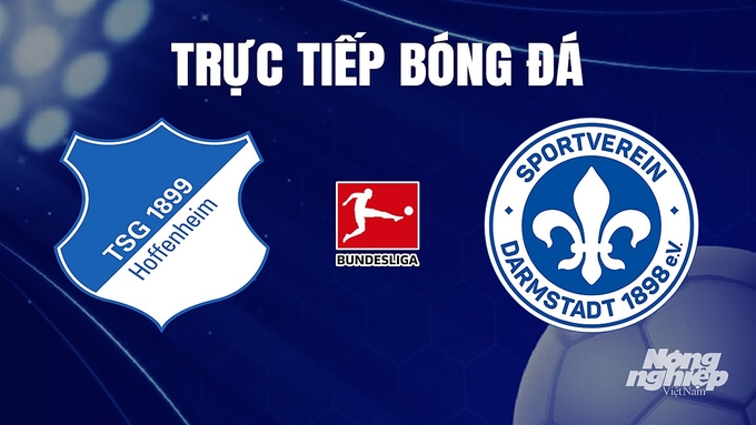 Trực tiếp bóng đá Bundesliga 2023/24 giữa Hoffenheim vs Darmstadt hôm nay 20/12/2023