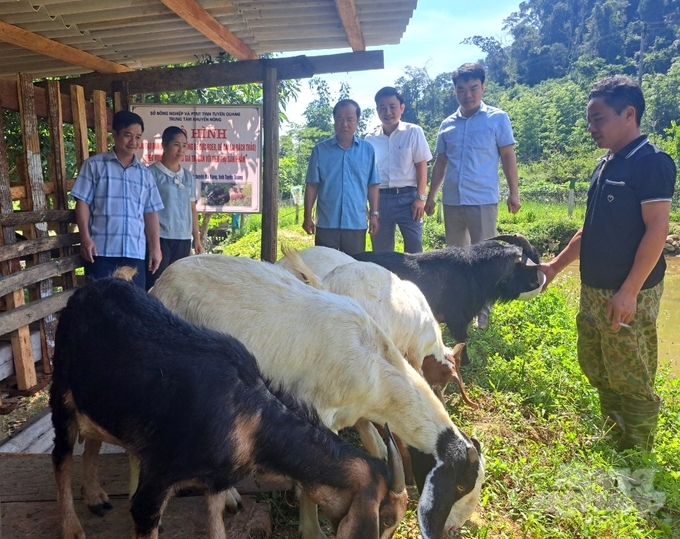 Mô hình nuôi dê sinh sản tại xã Khau Tinh đang tạo đà cho các hộ nghèo vươn lên thoát nghèo. Ảnh: Đào Thanh.