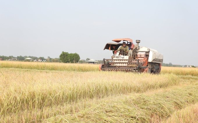 Tây Ninh tăng cường cơ giới hoá để giảm công lao động, giảm chi phí đầu tư, tăng hiệu quả kinh tế. Ảnh: Trần Trung.