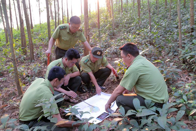 Cán bộ kiểm lâm huyện Lạc Sơn (Hòa Bình) kiểm tra rừng ngoài thực địa. Ảnh: BHB.