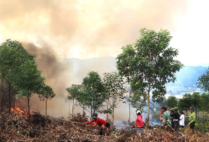 Các lực lượng chức năng cùng người dân Than Uyên dập tắt đám cháy rừng tại cuộc diễn tập. Ảnh: T.L.