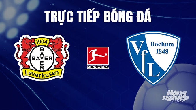 Trực tiếp bóng đá Bundesliga 2023/24 giữa Bayer Leverkusen vs Bochum hôm nay 21/12/2023