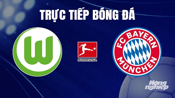 Trực tiếp bóng đá Bundesliga 2023/24 giữa Wolfsburg vs Bayern Munich hôm nay 21/12/2023