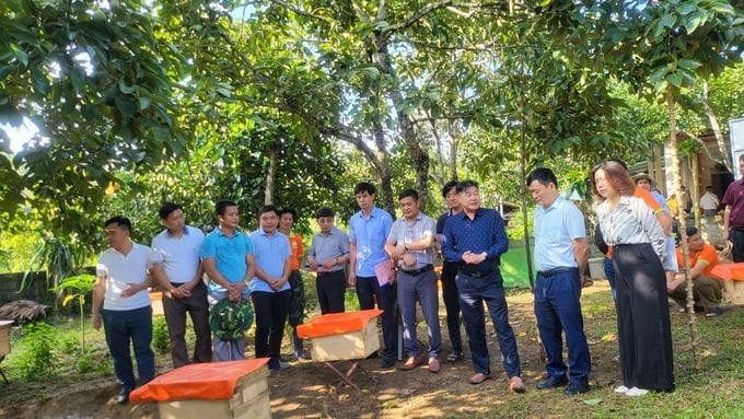 Ông Lê Quốc Thanh - giám đốc Trung tâm Khuyến nông Quốc gia (thứ 3 từ phải sang) thăm mô hình nuôi ong tại xã Sơn Lộc (huyện Can Lộc, tỉnh Hà Tĩnh). Ảnh: Ánh Nguyệt.