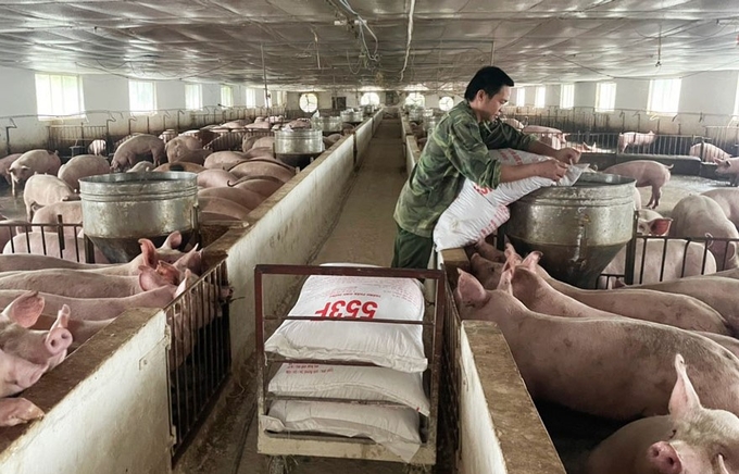 Đến nay, toàn tỉnh Thái Nguyên có hơn 1.000 trang trại chăn nuôi quy mô tập trung, chiếm khoảng 40% tổng sản lượng thịt hơi các loại. Ảnh: Phạm Hiếu.