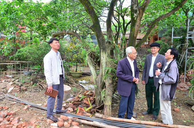 Các nhà khoa học và cán bộ Trung tâm Phát triển Nông nghiệp Hà Nội thăm vườn bưởi nhà ông Giàng. Ảnh: Dương Đình Tường.