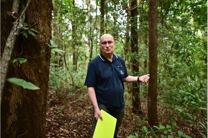 Researcher Stephen Elliott and his team use drone photos to make 3D models that reveal a woodland's health and help estimate how much carbon it can absorb.