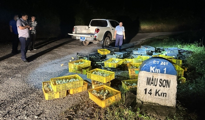 Đội Quản lý thị trường số 3 tỉnh Lạng Sơn kịp thời ngăn chặn gần 5.000 con gà giống nhập lậu đang vận chuyển đưa đi tiêu thụ trong đêm. 