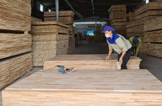 Ngành công nghiệp chế biến xuất khẩu gỗ và SPG của Việt Nam có nhiều lợi thế khi áp dụng  EUDR. Ảnh: Việt Khánh.
