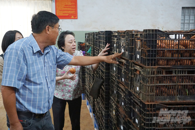 Ban Quản lý An toàn thực phẩm TP.HCM khảo sát doanh nghiệp sản xuất nông sản tỉnh Lâm Đồng. Ảnh: Nguyễn Thủy.