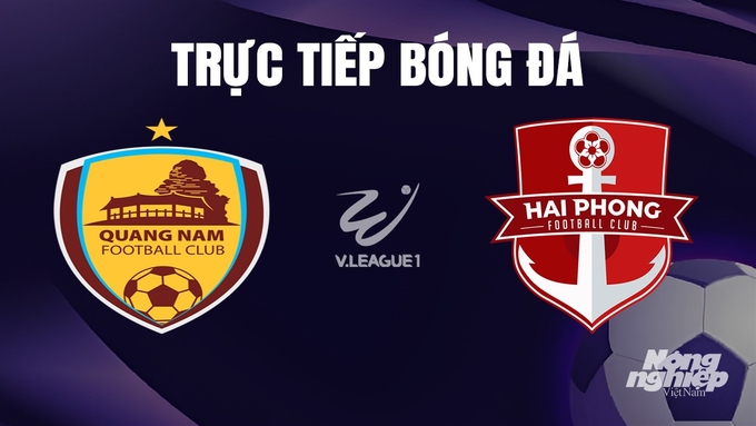 Trực tiếp bóng đá V-League 2023 giữa Quảng Nam vs Hải Phòng hôm nay 23/12/2023