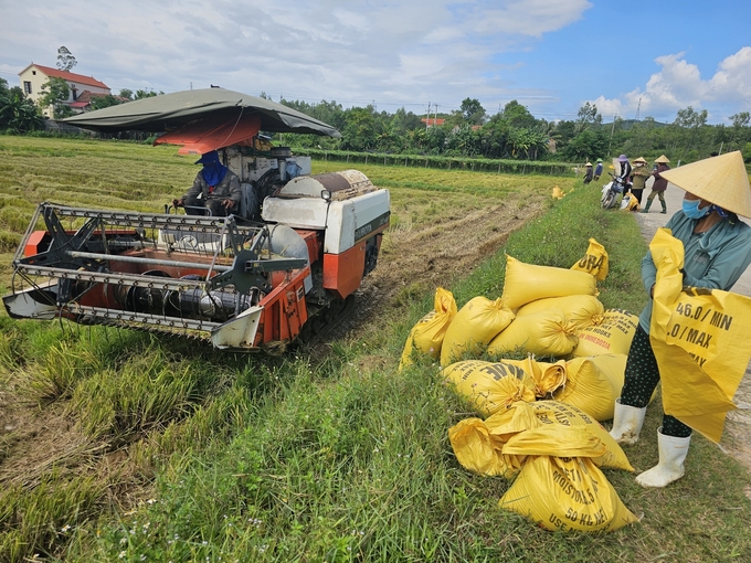 Năng suất lúa tại Quảng Bình luôn đạt cao trong những năm qua. Ảnh: Tâm Đức