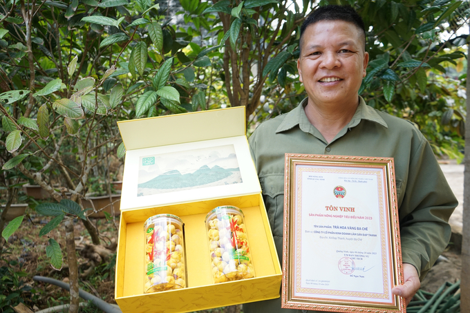 Trà hoa vàng Ba Chẽ được tôn vinh là sản phẩm nông nghiệp tiêu biểu năm 2023. Ảnh: Nguyễn Thành.