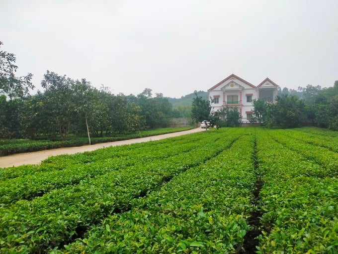 Diện mạo nông thôn ở Yên Bình đã có nhiều đổi thay rõ rệt nhờ chương trình xây dựng NTM. Ảnh: Thanh Tiến.