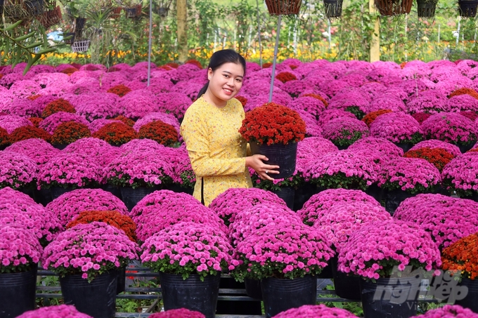 'Đến với Festival hoa - kiểng Sa Đéc lần này, người dân, du khách trong nước và quốc tế còn có dịp trải nghiệm 4 tour du lịch 'Theo dấu người tình'; 'Sa Đéc tình đất - tình hoa';  'Vương quốc hoa Sa Đéc - Hành trình di sản xanh' và tour 'Sa Đéc - Không gian văn hóa Phật giáo giữa lòng đô thị cổ'. Các tour du lịch gắn với trải nghiệm nông nghiệp, làng nghề thủ công, di sản văn hóa đặc trưng tại một số huyện, thành phố trên địa bàn tỉnh Đồng Tháp hứa hẹn sẽ mang đến cho du khách những trải nghiệm thú vị bên những làng quê yên bình, khám phá các làng nghề truyền thống trăm tuổi hay những di tích mang đậm dấu ấn thời gian', bà Huỳnh Thị Hoài Thu kỳ vọng.