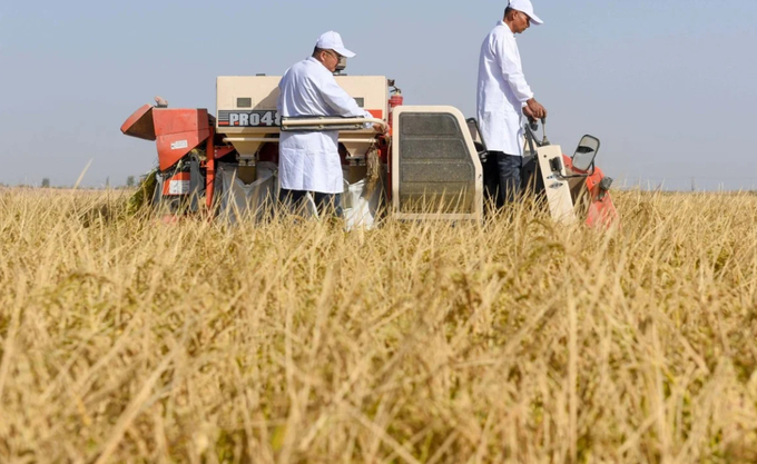 China has the world’s third-largest surface area of saline-alkaline land at about 100 million (247 million acres) hectares. Photo: Xinhua