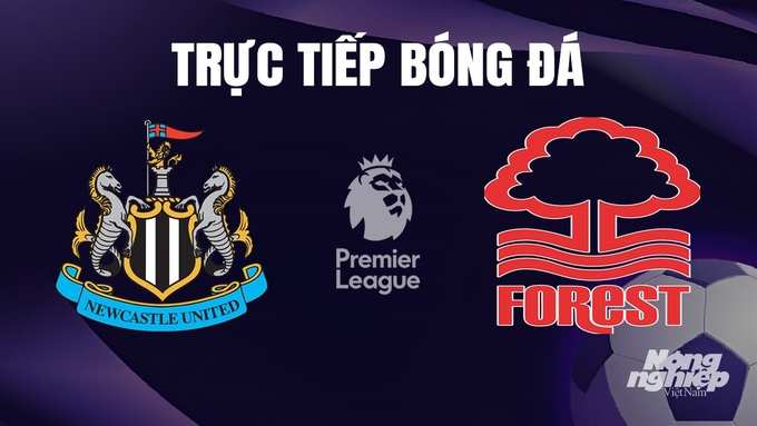 Trực tiếp bóng đá Ngoại hạng Anh giữa Newcastle United vs Nottingham Forest hôm nay 26/12/2023