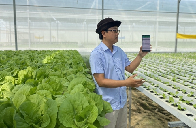 Khu trồng rau thủy canh được anh Châu vận hành chăm sóc, quản lý hoàn toàn bằng công nghệ IoT. Ảnh: Nguyễn Cơ.