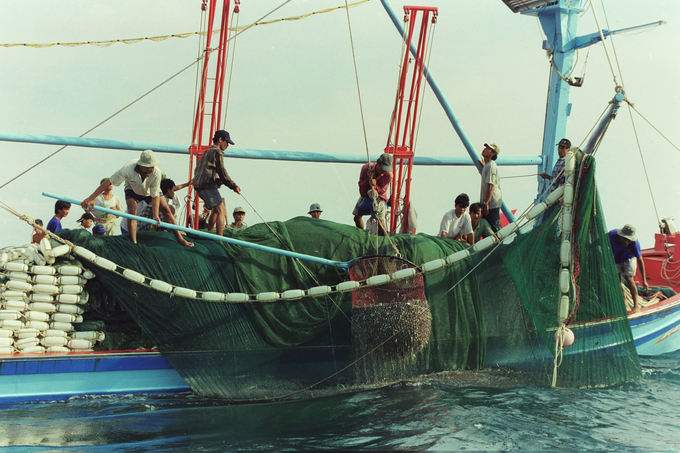 Việc chống khai thác IUU nói chung vẫn còn hạn chế, cần khẩn trương khắc phục trong 6 tháng tới, trước khi đoàn thanh tra lần thứ 5 của Ủy ban châu Âu sang Việt Nam. Ảnh: Hồng Thắm.