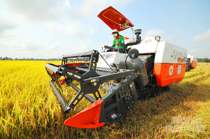 Đến nay, An Giang đã triển khai sản xuất lúa gạo theo tiêu chuẩn SRP cho hơn 1.200 hộ nông dân, với tổng diện tích là 22.000ha và 60ha sản xuất theo GlobalGAP, 20ha đạt tiêu chuẩn VietGAP. Ảnh: Lê Hoàng Vũ.