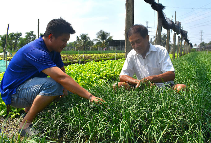 Sản xuất rau màu là thế mạnh của nông dân huyện Châu Thành. Ảnh: Minh Đảm.