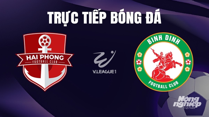 Trực tiếp bóng đá V-League 2023 giữa Hải Phòng vs Bình Định hôm nay 27/12/2023