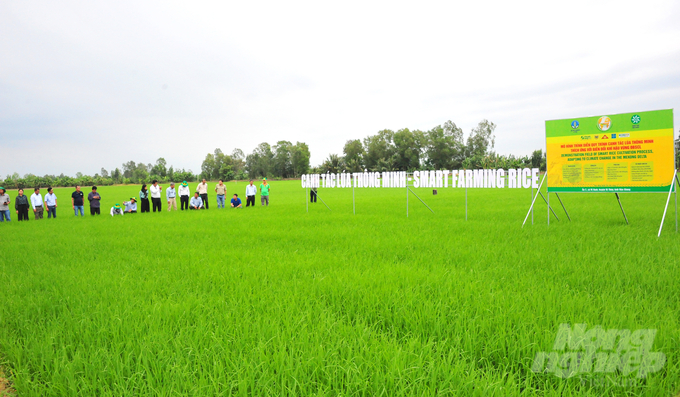 Nhân tham dự Lễ kỷ niệm hành trình 50 năm - những chặng đường phát triển của Công ty Cổ phần Phân bón Bình Điền, đoàn lãnh đạo ngành nông nghiệp Vương quốc Campuchia gồm lãnh đạo Tổng cục Nông nghiệp, Cục Lúa gạo, Trung tâm giống Quốc gia và các Sở Nông Lâm Ngư nghiệp của 9 tỉnh: Prey Veng, Svay Rieng, Tà Keo, Kanda, Pursat, Kampong Chnang, Banteay Meanchey, Battambang, Siêm Riệp đã có 2 ngày tham quan, làm việc tại ĐBSCL. Đi cùng đoàn có ông Lê Thanh Tùng, Phó Cục trưởng Cục Trồng trọt (Bộ NN-PTNT), ông Võ Văn Phu, Phó Tổng Giám đốc và các nhà khoa học là thành viên hội đồng khoa học kỹ thuật của Công ty Cổ phần Phân bón Bình Điền.