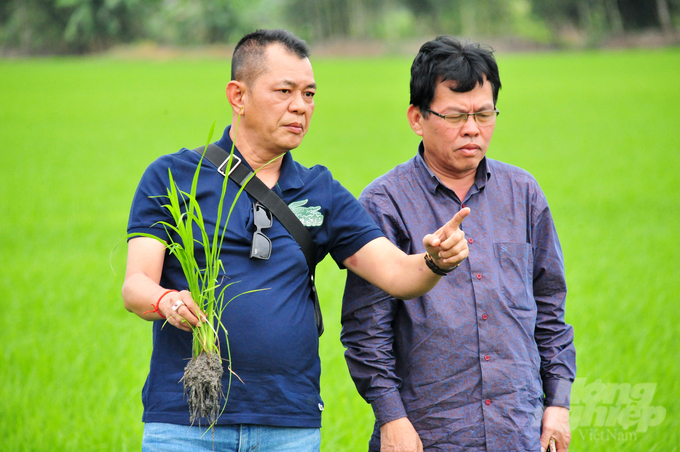 Gần đây nhất, Bình Điền đã thực hiện triển khai mô hình canh tác lúa thông minh vụ mùa mưa 2023 tại đất nước Chùa Tháp và đạt kết quả rất tốt, năng suất tăng bình quân khoảng 1 tấn/ha so với canh tác của bà con nông dân làm theo truyền thống.