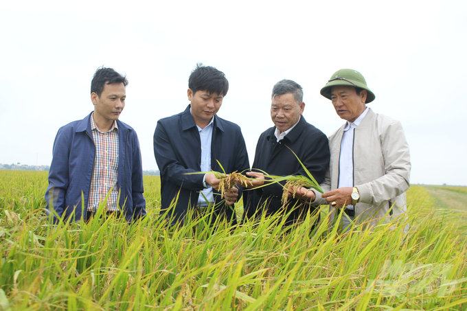 Trải qua 30 năm xây dựng và phát triển, Trung tâm Khuyến nông Ninh Bình luôn là lực lượng nòng cốt triển khai thực hiện chương trình, dự án, mô hình nông nghiệp trọng điểm trên địa bàn tỉnh. Ảnh: Trung Quân.