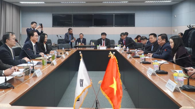 The meeting between the Ministry of Agriculture and Rural Development and the Korea International Cooperation Agency (KOICA) on the afternoon of December 26. Photo: ICD.