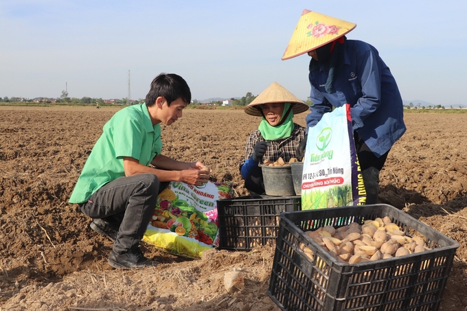 Cán bộ Công ty Tiến Nông trực tiếp xuống đồng, hướng dẫn bà con kỹ thuật canh tác, bón phân cho cây trồng. Ảnh: Duyên Hoàng.