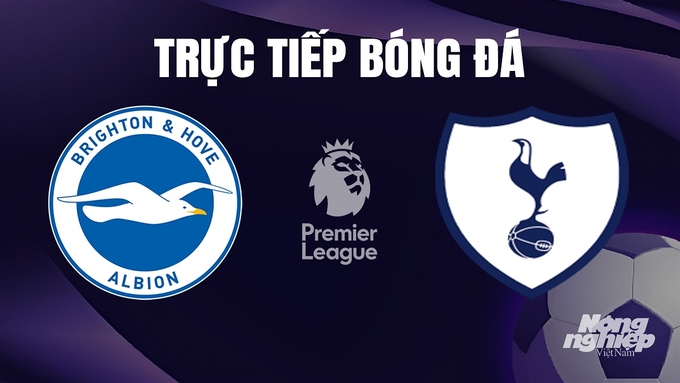 Trực tiếp bóng đá Ngoại hạng Anh giữa Brighton vs Tottenham hôm nay 29/12/2023