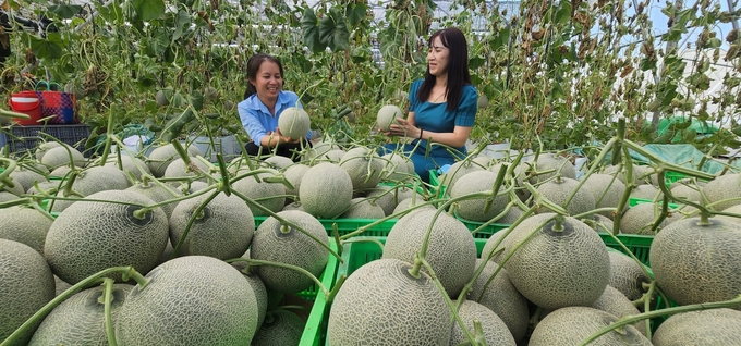 Nông nghiệp là điểm sáng của tỉnh Đồng Nai Ảnh: Minh Sáng.