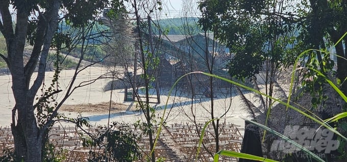 Cơ sở thu mua, chế biến gỗ keo tại thôn Thanh Niên, xã Xuân Hòa chưa được chấp thuận chủ trương đầu tư dự án nhưng vẫn hoạt động. Mới đây lực lượng chức năng đã dừng hoạt động cơ sở này. Ảnh: XQ.