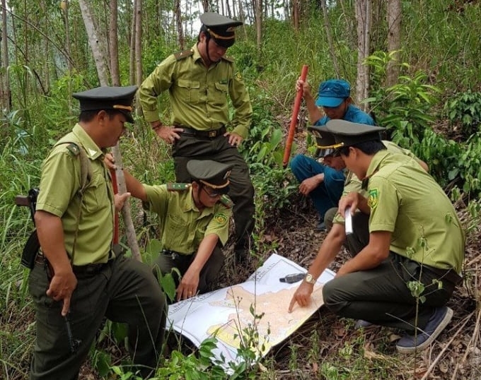 Ngành kiểm lâm Phú Yên nỗ lực trong việc bảo vệ và phát triển rừng. Ảnh: KS.