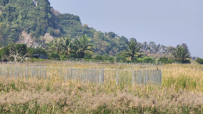 Một số hộ dân chưa đồng ý với phương án bồi thường của chủ đầu tư. Ảnh: Đinh Mười.