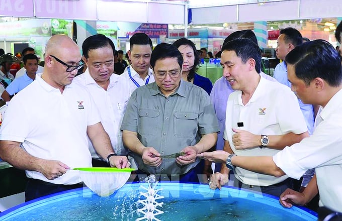 Lãnh đạo Đảng, Nhà nước dành sự quan tâm lớn đến phát triển nông nghiệp. Trong ảnh: Thủ tướng Phạm Minh Chính thăm gian hàng tại Festival Tôm Cà Mau 2023. Ảnh: TTXVN.