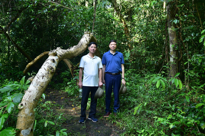Cục trưởng Cục Lâm nghiệp Trần Quang Bảo (phải) nhấn mạnh mục tiêu phát huy giá trị đa dụng của rừng trong thời gian tới. Ảnh: CLN.