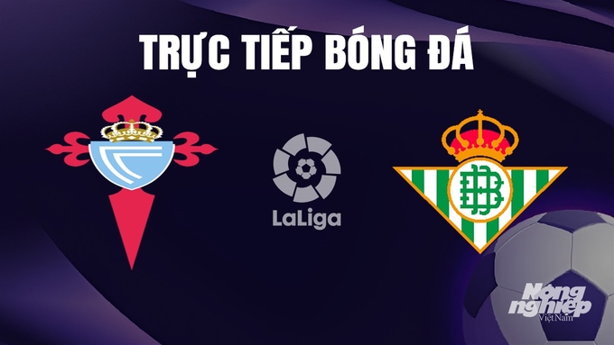 Trực tiếp bóng đá La Liga 2023/24 giữa Celta Vigo vs Real Betis hôm nay 4/1/2024