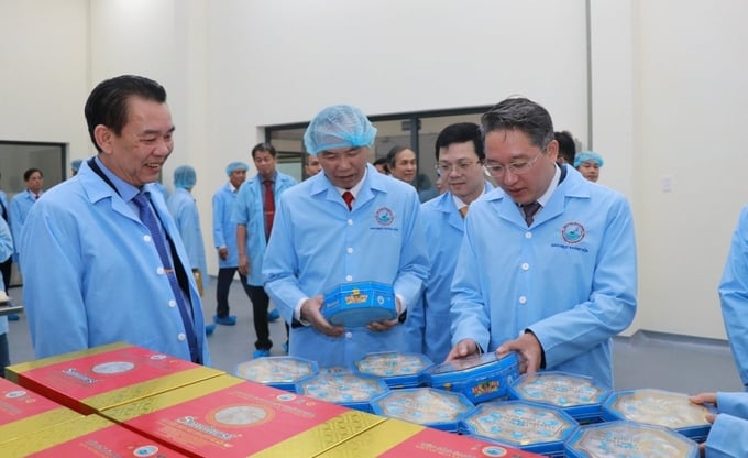 Khanh Hoa province possesses significant strengths in swiftlet nest farming. Photo: PC.