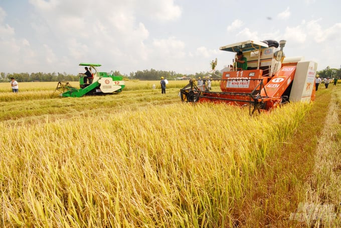 Sản xuất lúa gạo giờ đây không chỉ còn đơn thuần nhằm đảm bảo an ninh lương thực quốc gia, mà còn đảm bảo 'an ninh khí hậu' toàn cầu. Ảnh: Lê Hoàng Vũ.