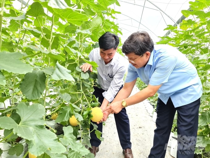 Đội ngũ cán bộ khuyến nông của tỉnh Tuyên Quang có vai trò quan trọng trong việc tuyên truyền, chuyển giao kiến thức khoa học kỹ thuật cho nông dân. Ảnh: Đào Thanh.