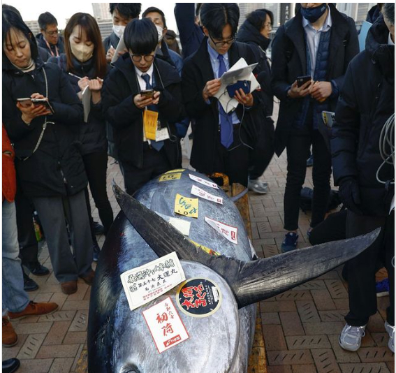 The price paid for the bluefin tuna was three times the final amount of last year’s fish, and the fourth highest since records started being kept in 1999.