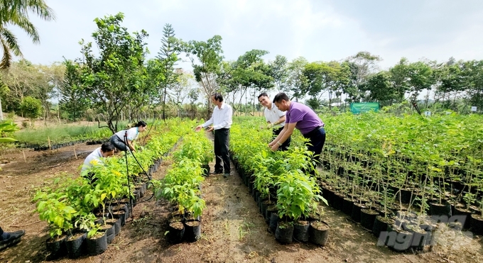 Các thành viên HANE đang cùng nhau thay bầu đất và ươm cây xanh tại Khu vườn vì Việt Nam xanh. Ảnh: Minh Sáng.