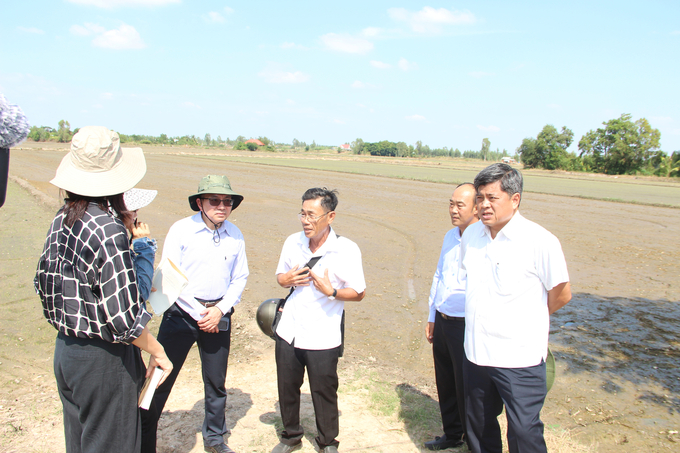 Thứ trưởng Bộ NN-PTNT Trần Thanh Nam cùng đoàn công tác đến thăm các HTX tại tỉnh Long An và phát động thực hiện đề án 1 triệu ha lúa chất lượng cao. Ảnh: Trần Trung.