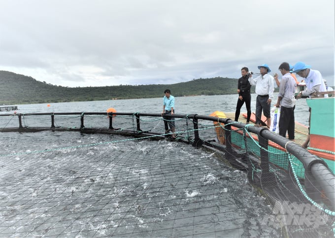 Tỉnh Kiên Giang tập trung phát triển dư địa nuôi biển, để bù đắp sản lượng khai thác sụt giảm, hỗ trợ ngư dân chuyển đổi từ lồng nuôi truyền thống bằng cây, gỗ sang lồng nuôi hiện đại bằng chất liệu HDPE. Ảnh: Trung Chánh.