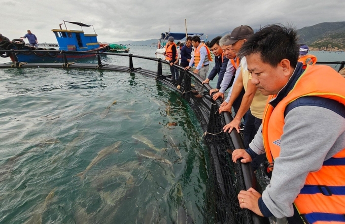 Đoàn công tác Sở NN-PTNT Khánh Hòa cùng các đơn vị liên quan nghiệm thu mô hình nuôi biển công nghệ cao ở vùng biển hở. Ảnh: KS.