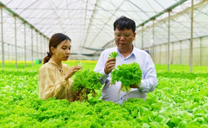 Phó Giám đốc Văn phòng SPS Việt Nam Ngô Xuân Nam (phải) tham quan mô hình trồng rau trong nhà màng. 