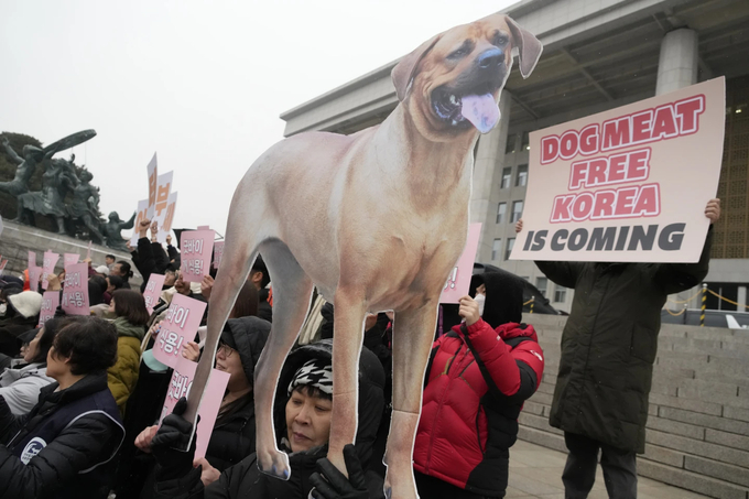 Các nhà hoạt động vì quyền động vật ủng hộ dự luật cấm thịt chó tại Seoul, Hàn Quốc ngày 9/1. Ảnh: AP. 