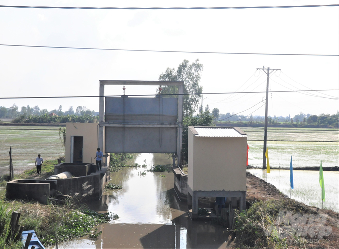 Tham gia dự án VnSAT, HTX Dịch vụ nông nghiệp Thanh niên Phú Hòa được đầu tư cơ sở hạ tầng khá hoàn chỉnh, đây là nền tảng để tham gia đề án 1 triệu ha lúa chất lượng cao. Ảnh: Trung Chánh.